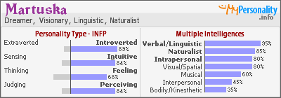 Bluestar MBTI Personality Type: INTJ or INTP?