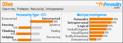 Click to view my Personality Profile page